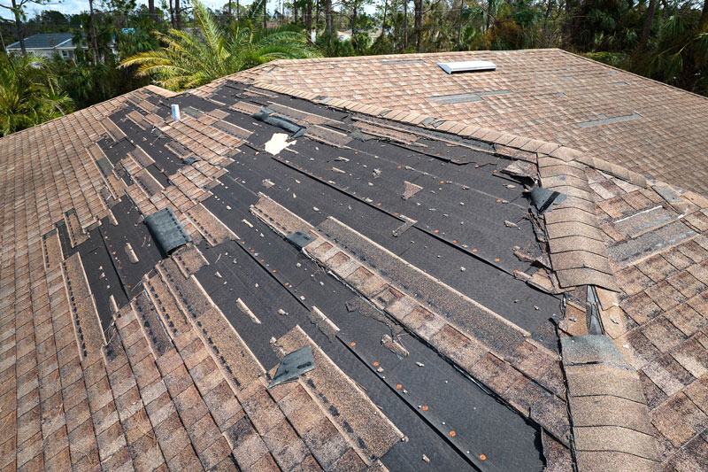 Roofing Services in Burke County, GA